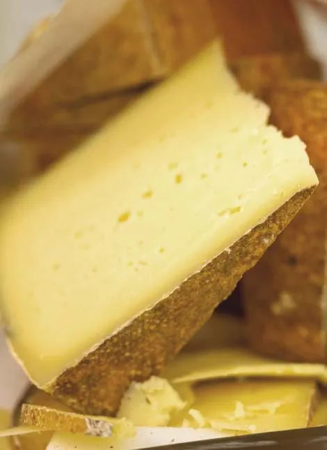 Gereifter Rohmilchkäse vom Backensholzer Hof.